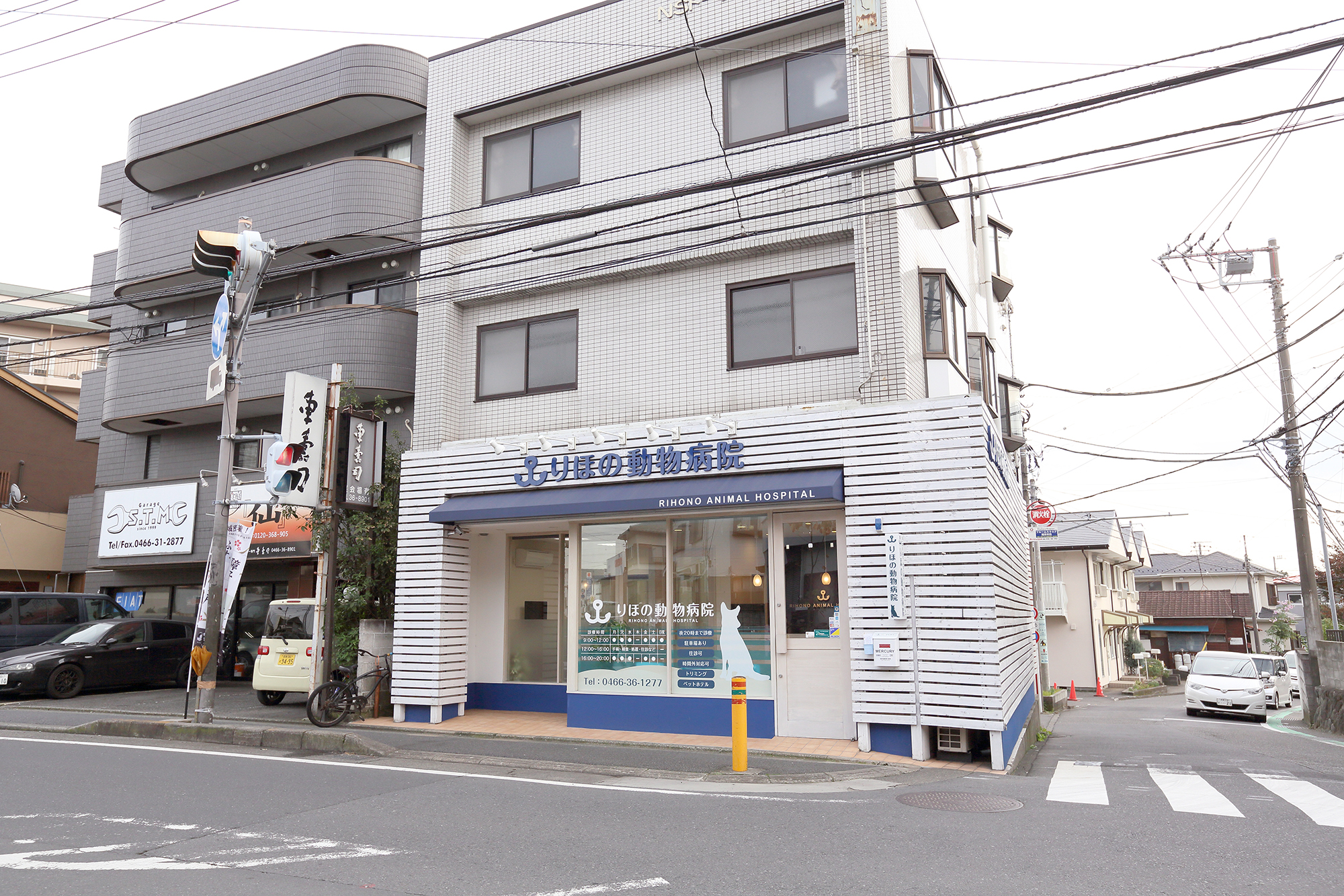 りほの動物病院photo