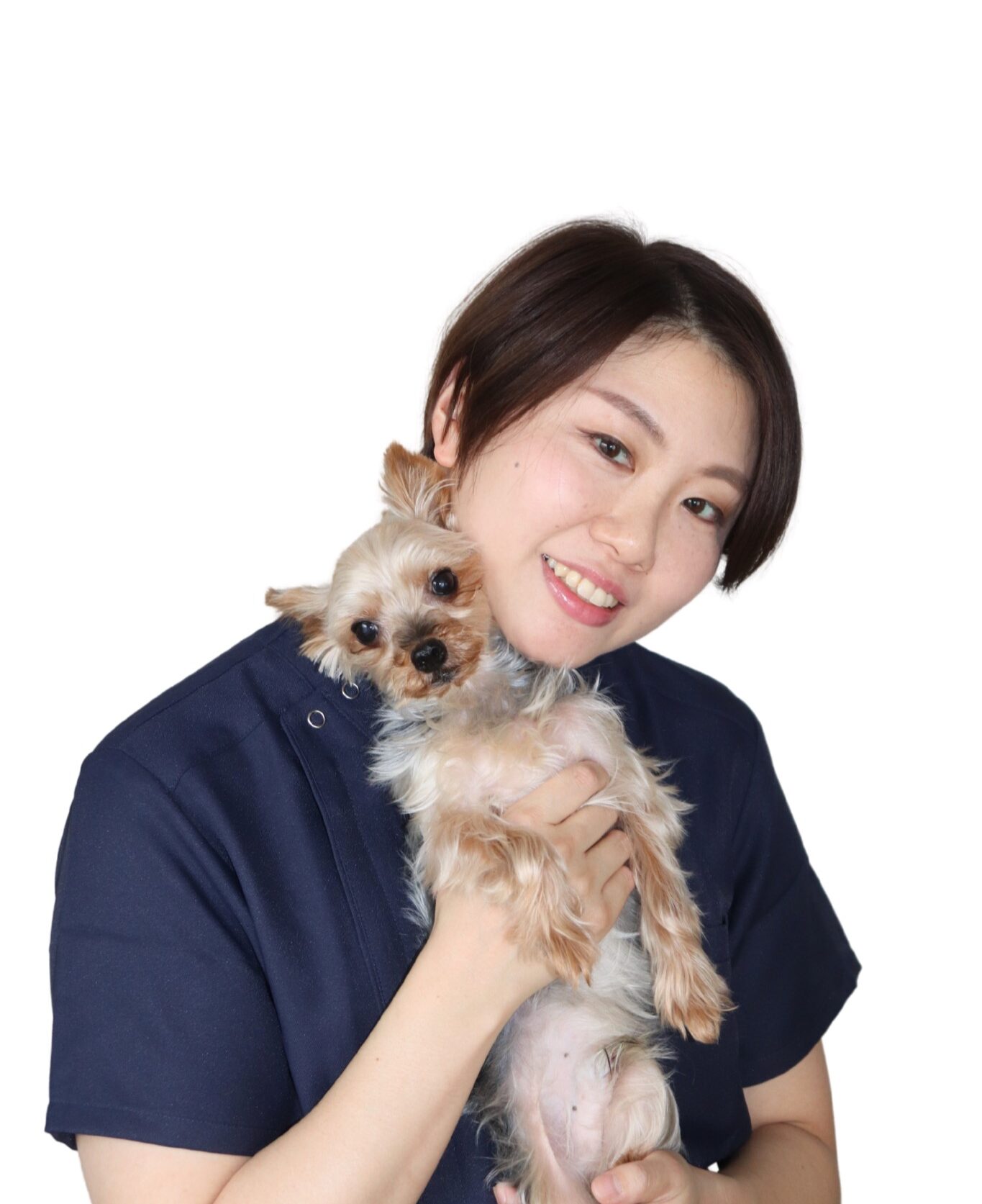 SHINKAWABASHI ANIMAL CLINICphoto