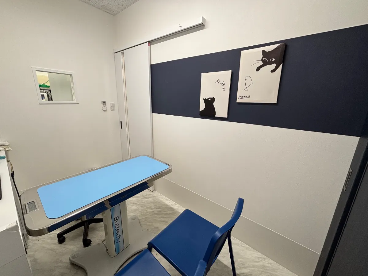 SHINKAWABASHI ANIMAL CLINICphoto