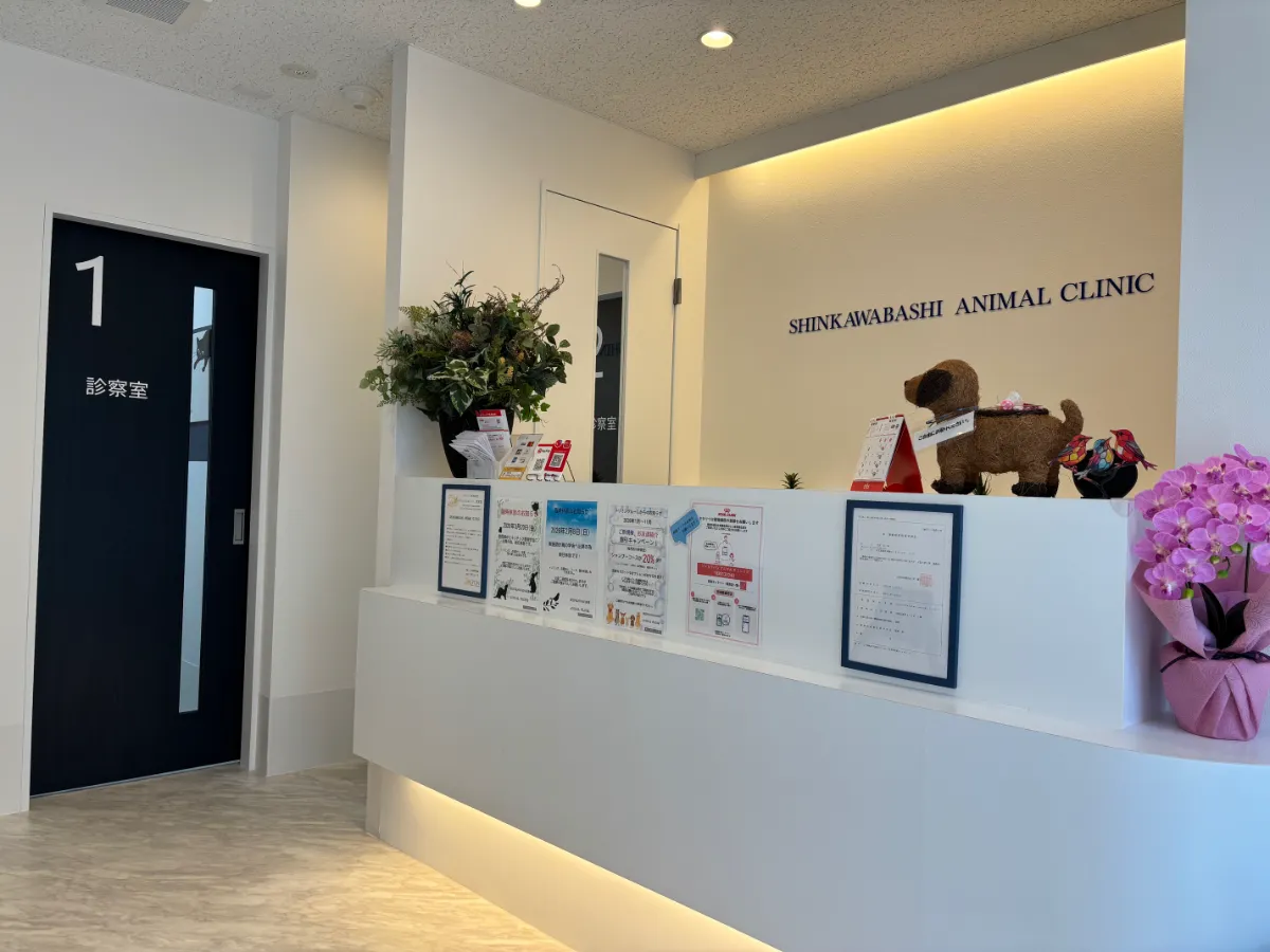 SHINKAWABASHI ANIMAL CLINICphoto