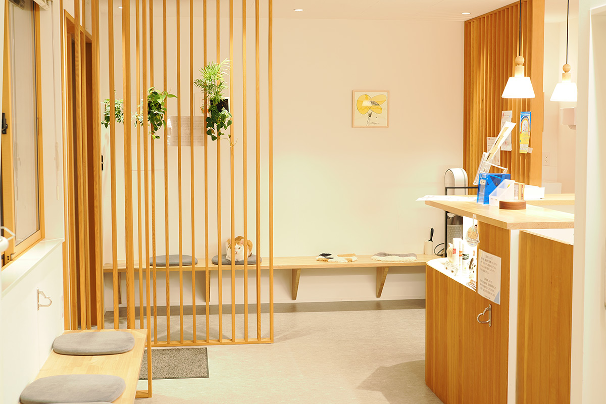 柏流山夜間どうぶつ病院