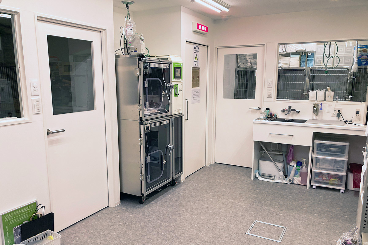 柏流山夜間どうぶつ病院