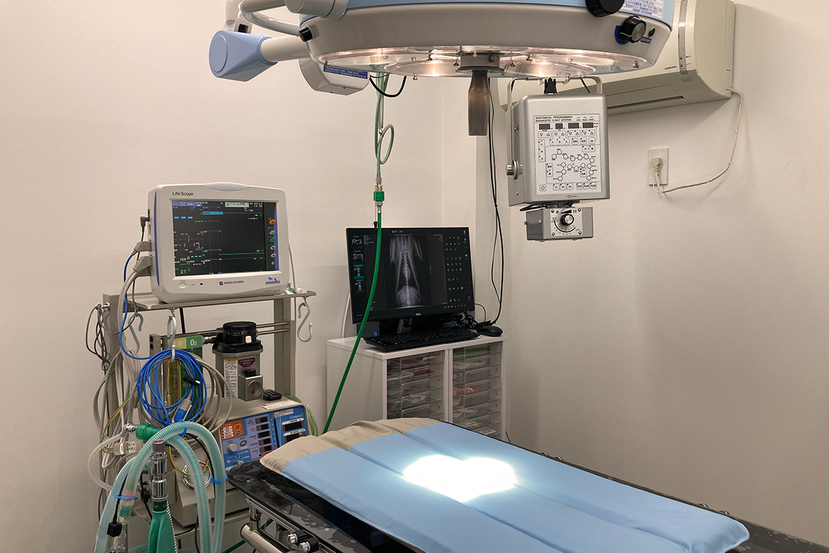 柏流山夜間どうぶつ病院