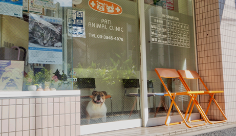 パティ動物病院photo