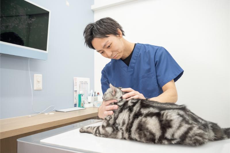 所沢さくら動物医療センター