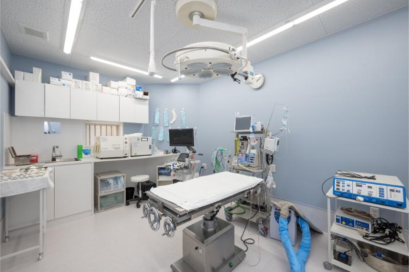 所沢さくら動物医療センター