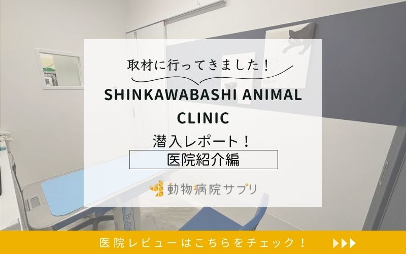 SHINKAWABASHI ANIMAL CLINIC