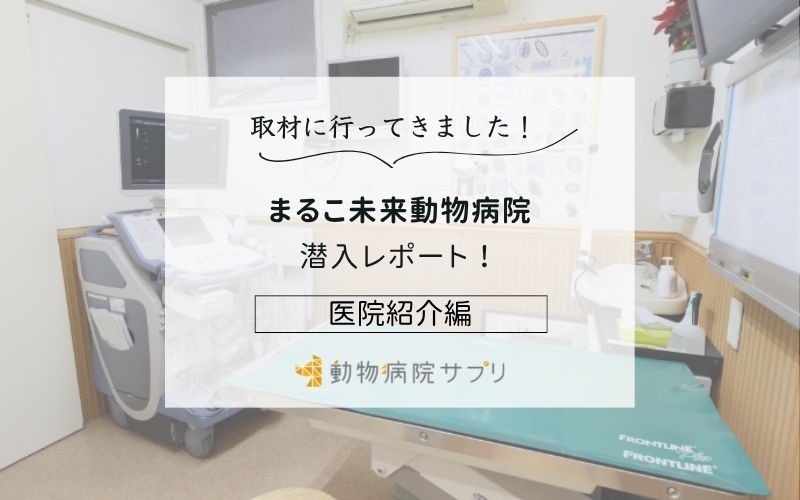 まるこ未来動物病院photo