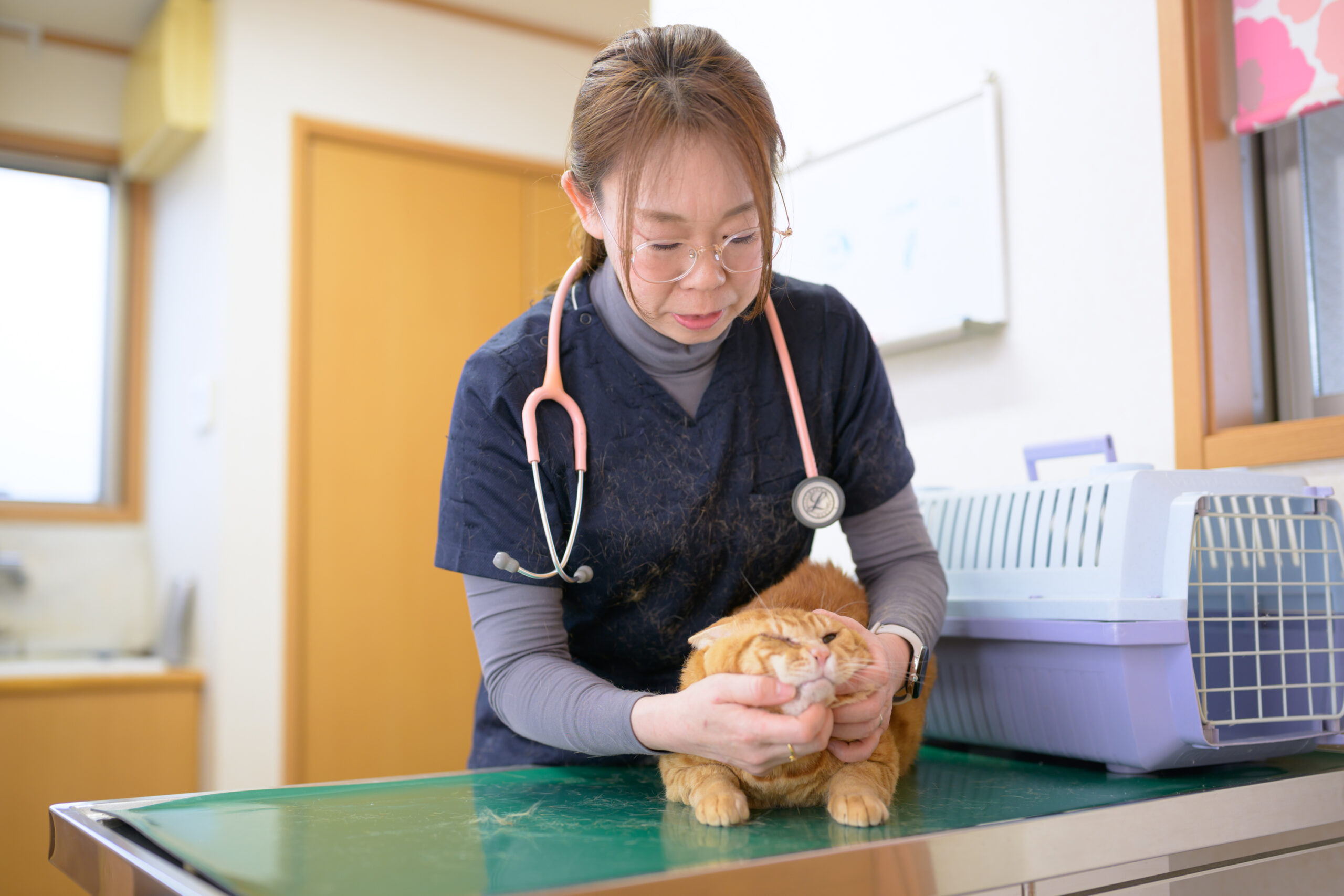 ちよだ動物病院photo