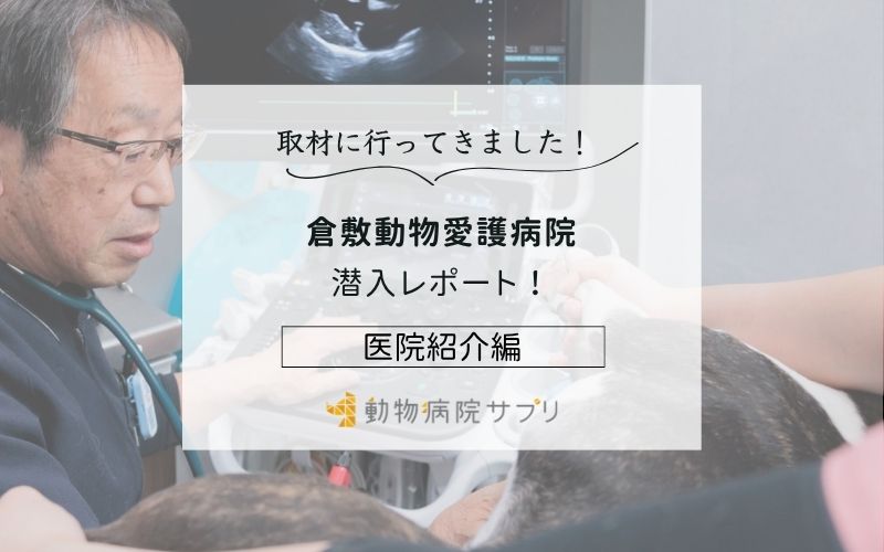 倉敷動物愛護病院photo