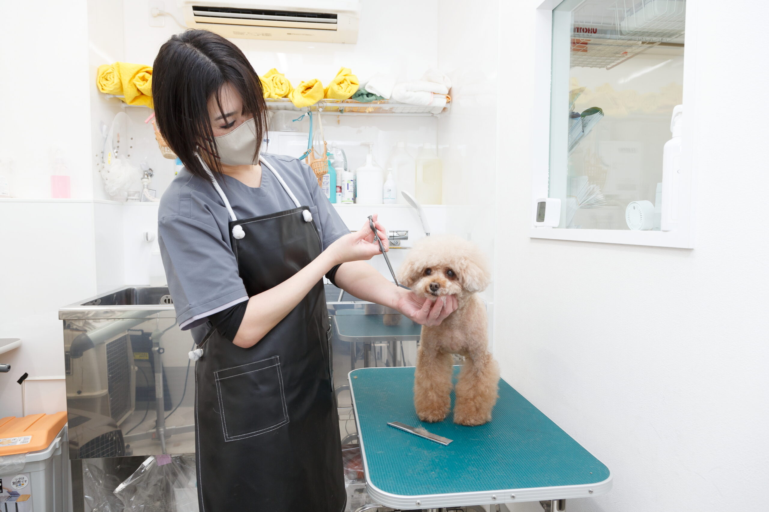 SHINKAWABASHI ANIMAL CLINICphoto