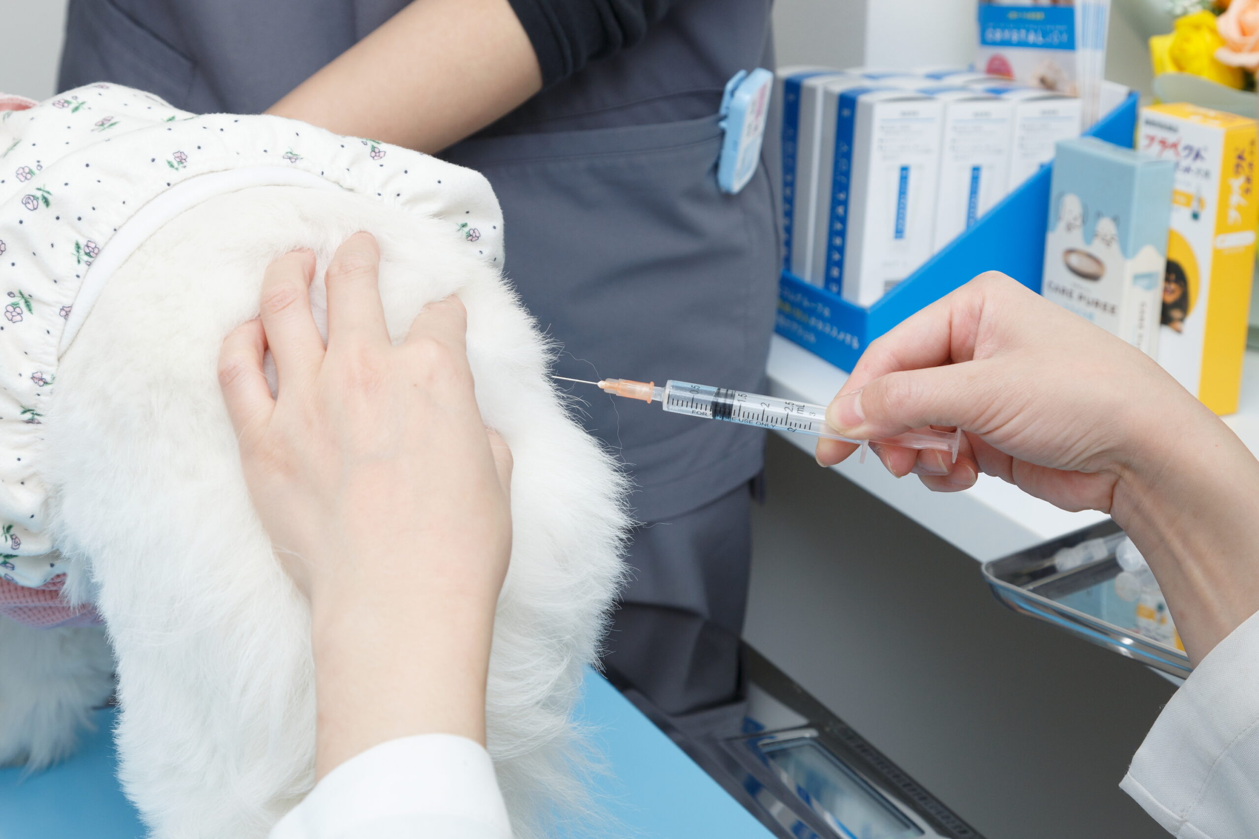 SHINKAWABASHI ANIMAL CLINICphoto