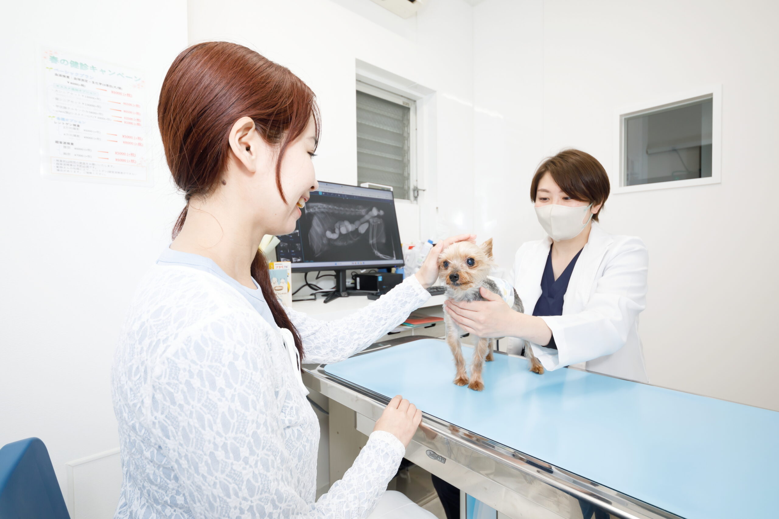 SHINKAWABASHI ANIMAL CLINICphoto
