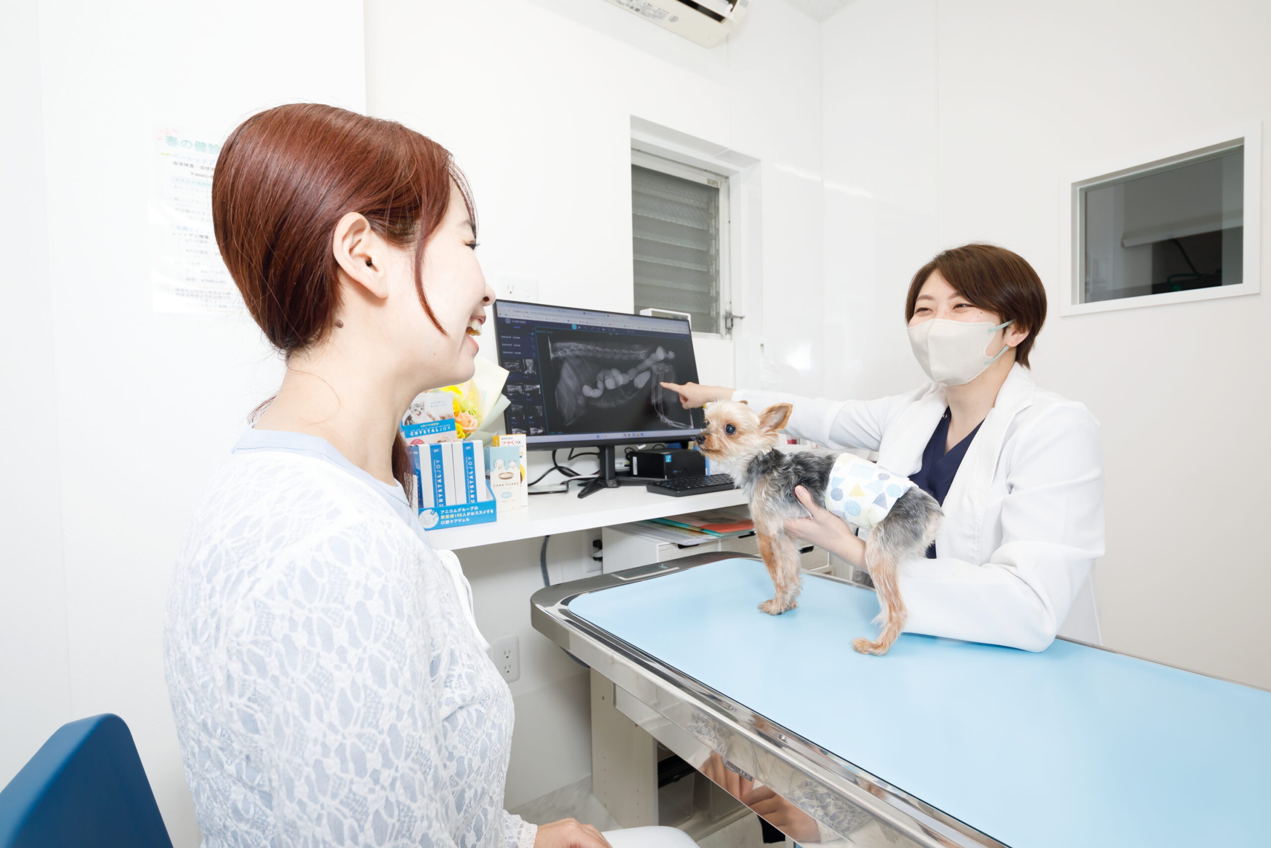 SHINKAWABASHI ANIMAL CLINICphoto