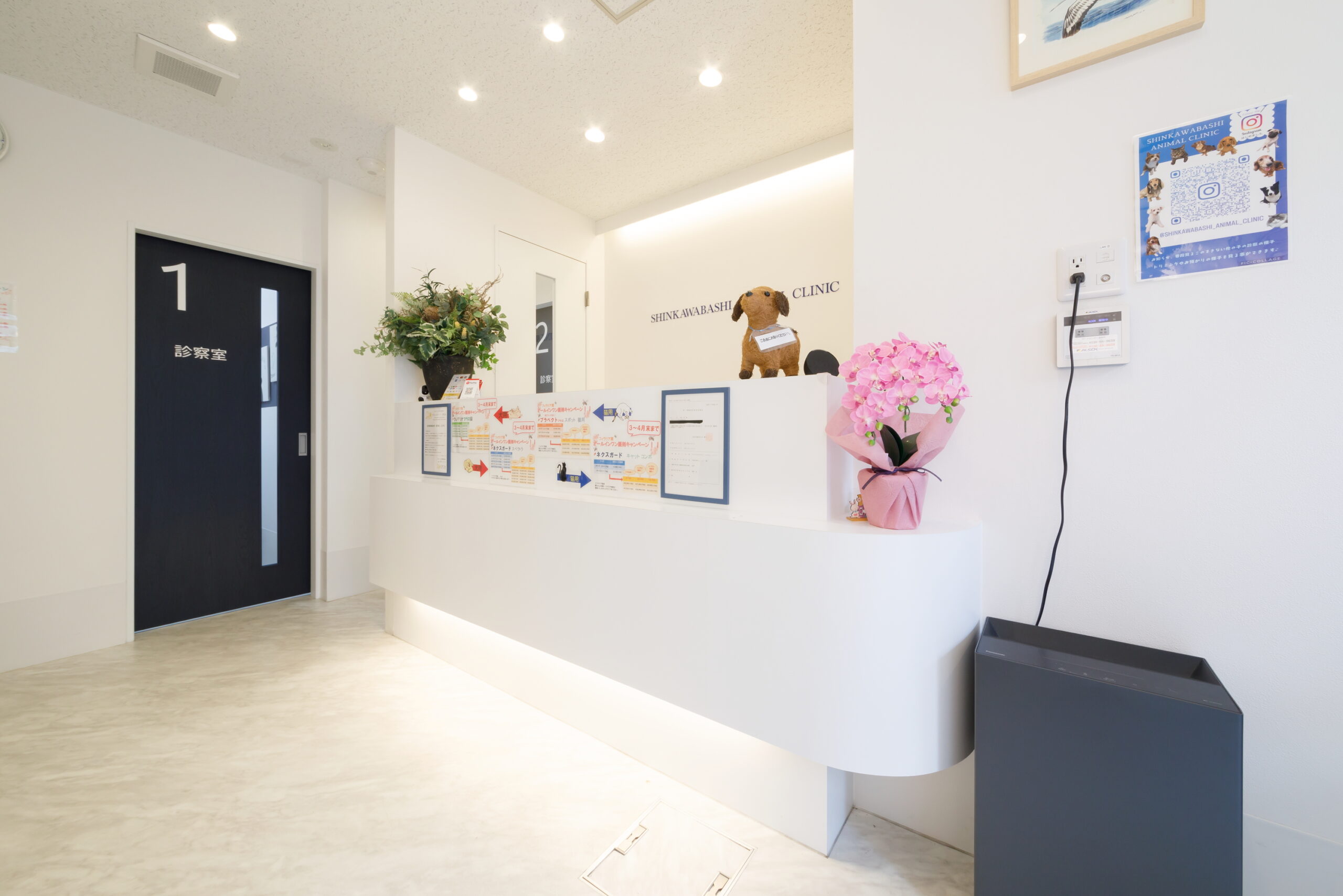 SHINKAWABASHI ANIMAL CLINICphoto