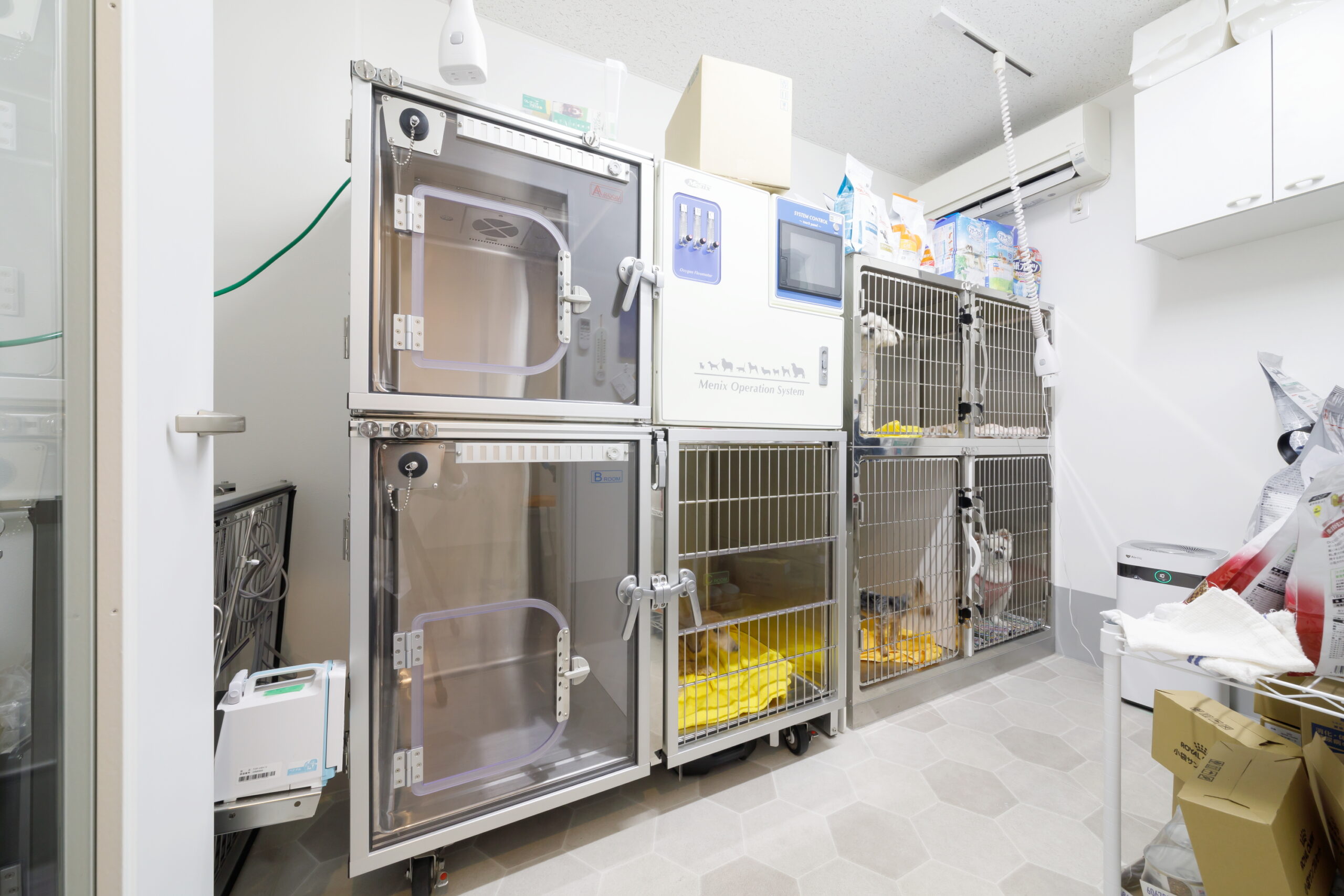SHINKAWABASHI ANIMAL CLINICphoto