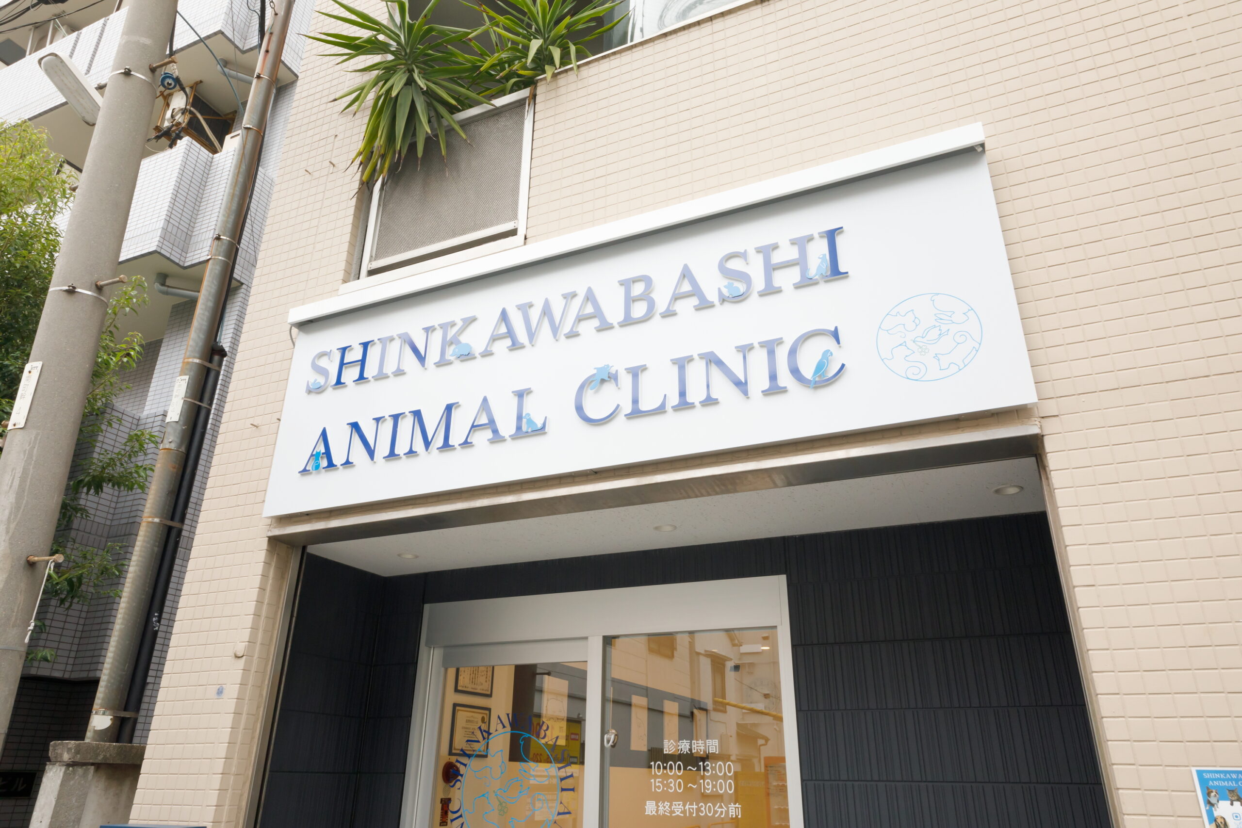 SHINKAWABASHI ANIMAL CLINICphoto