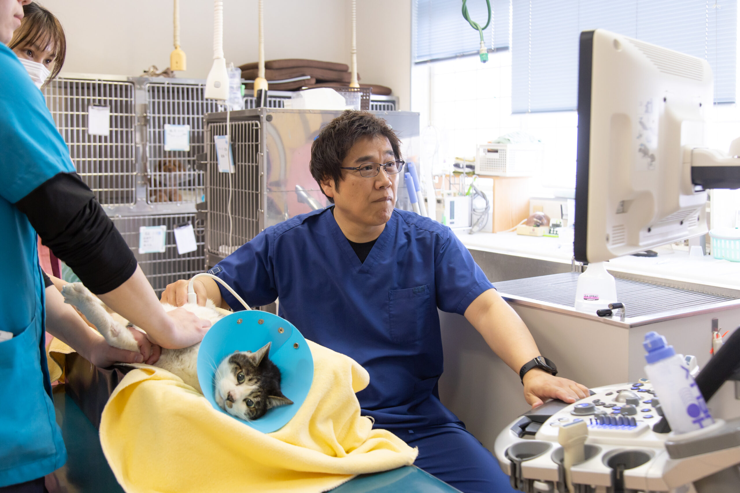 大野犬猫病院photo