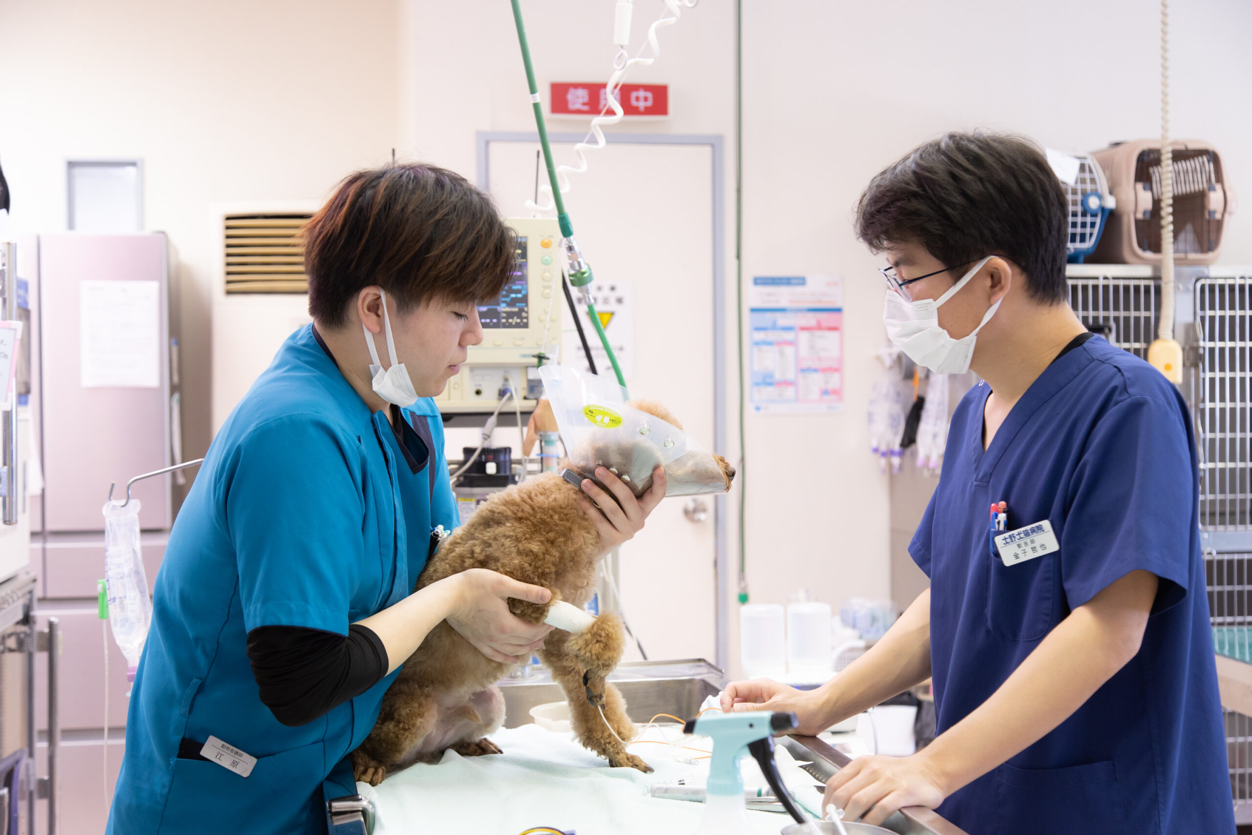 大野犬猫病院photo