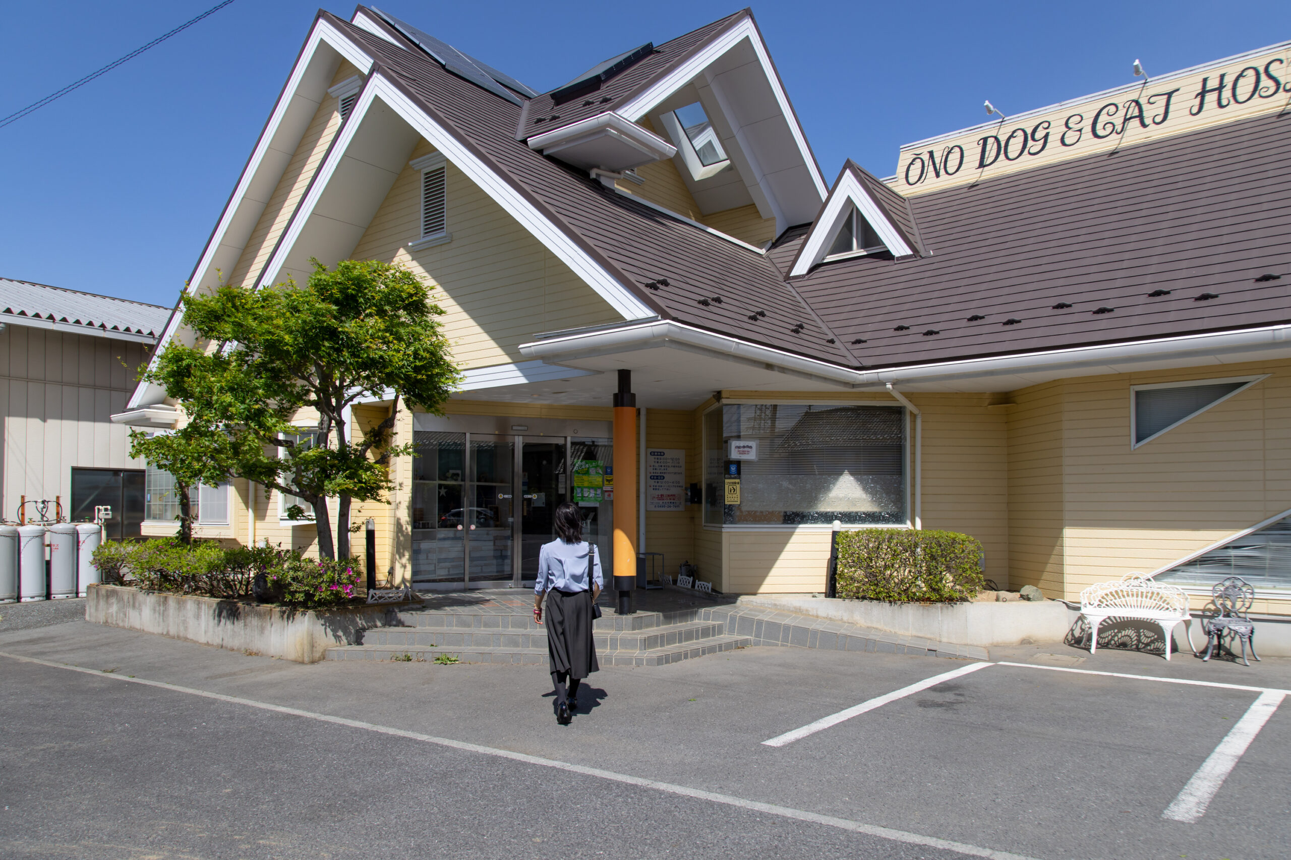 大野犬猫病院photo