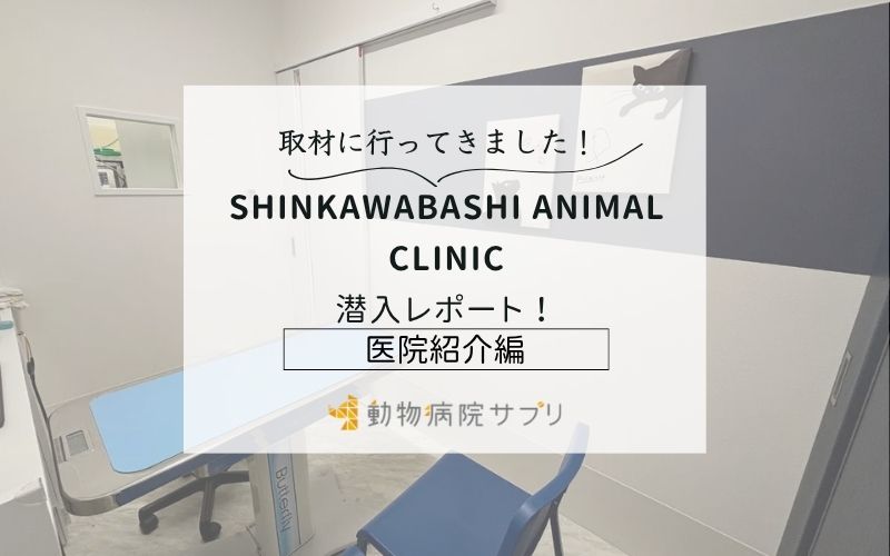 SHINKAWABASHI ANIMAL CLINICphoto