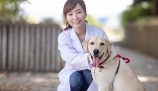動物病院の健康診断の検査項目は？受診するときの注意点やメリット、費用も解説
