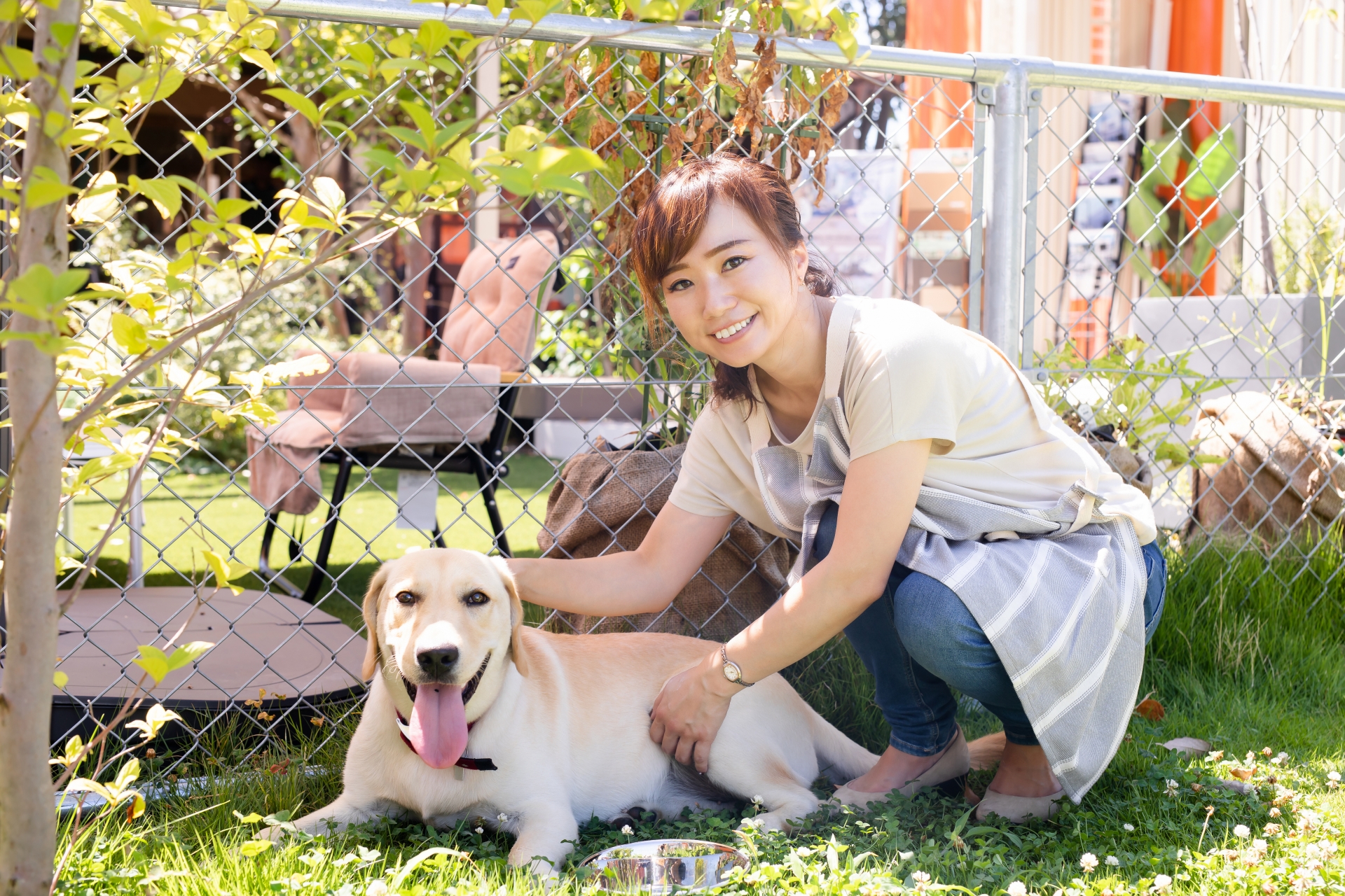 犬の世話をする女性