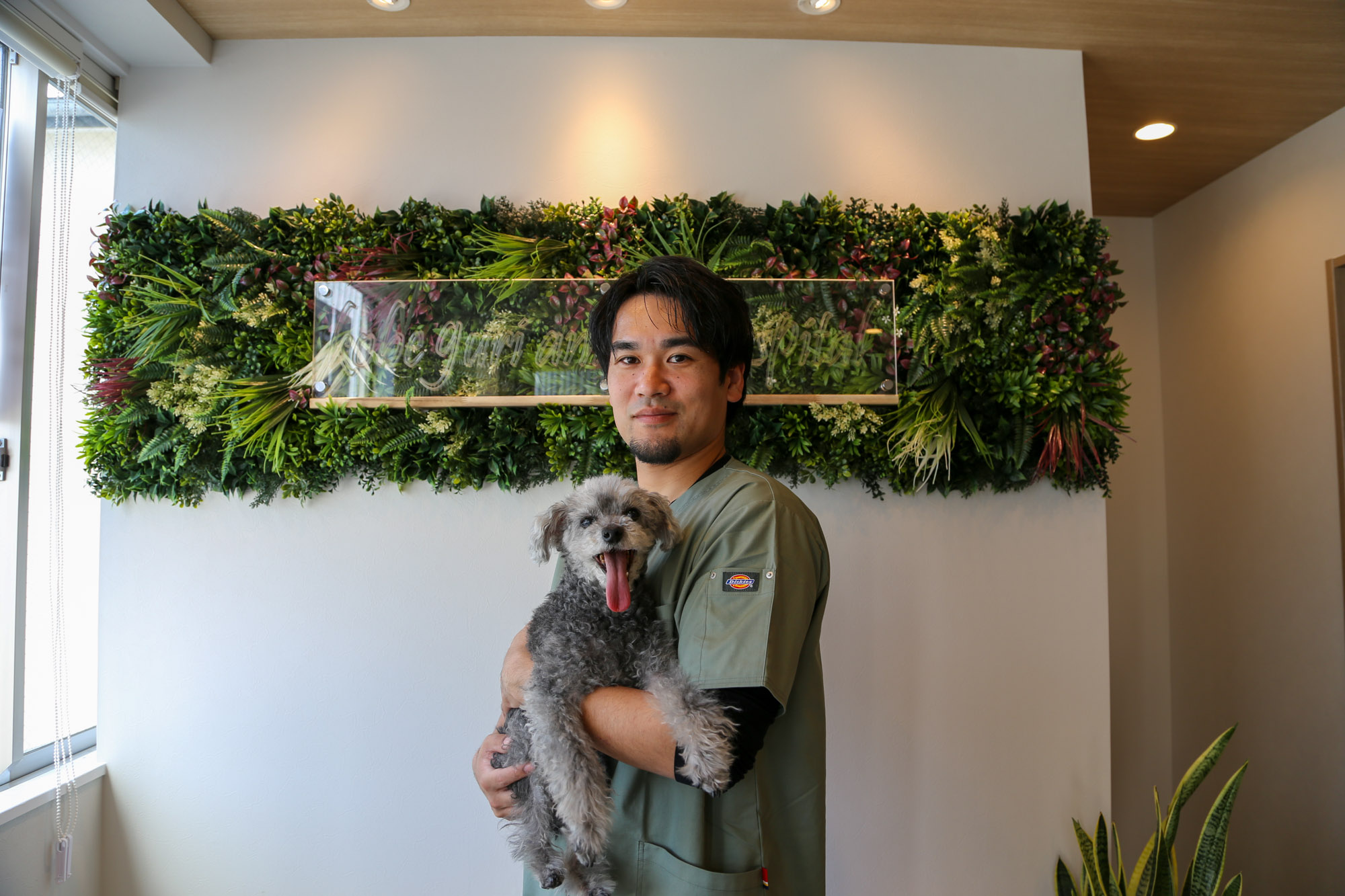 神戸ぐり動物病院