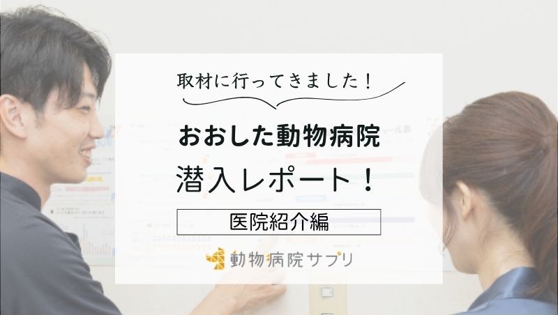 おおした動物病院photo