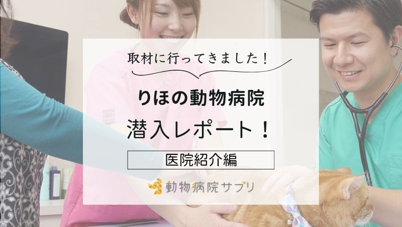 りほの動物病院photo