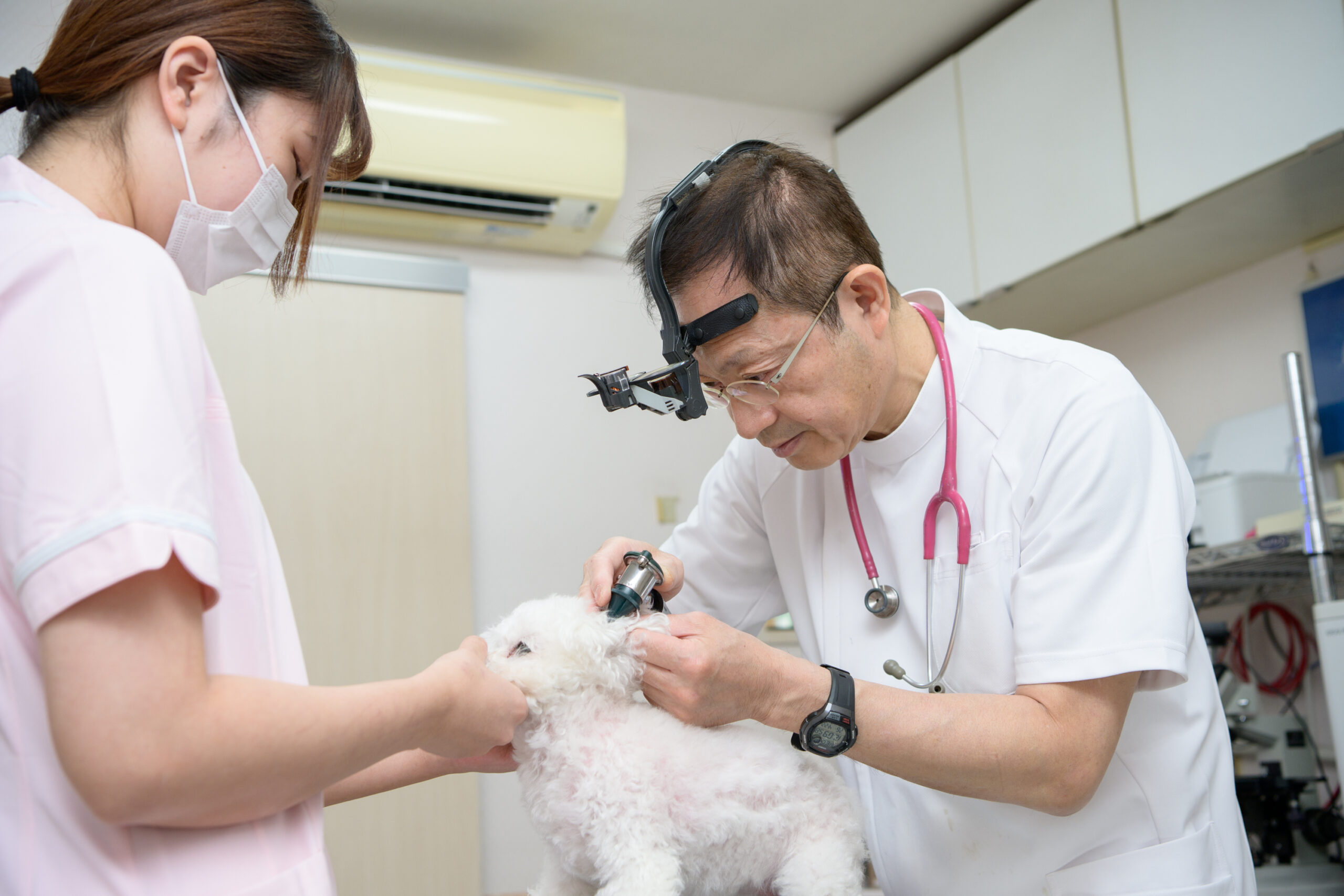 アーバン動物病院photo