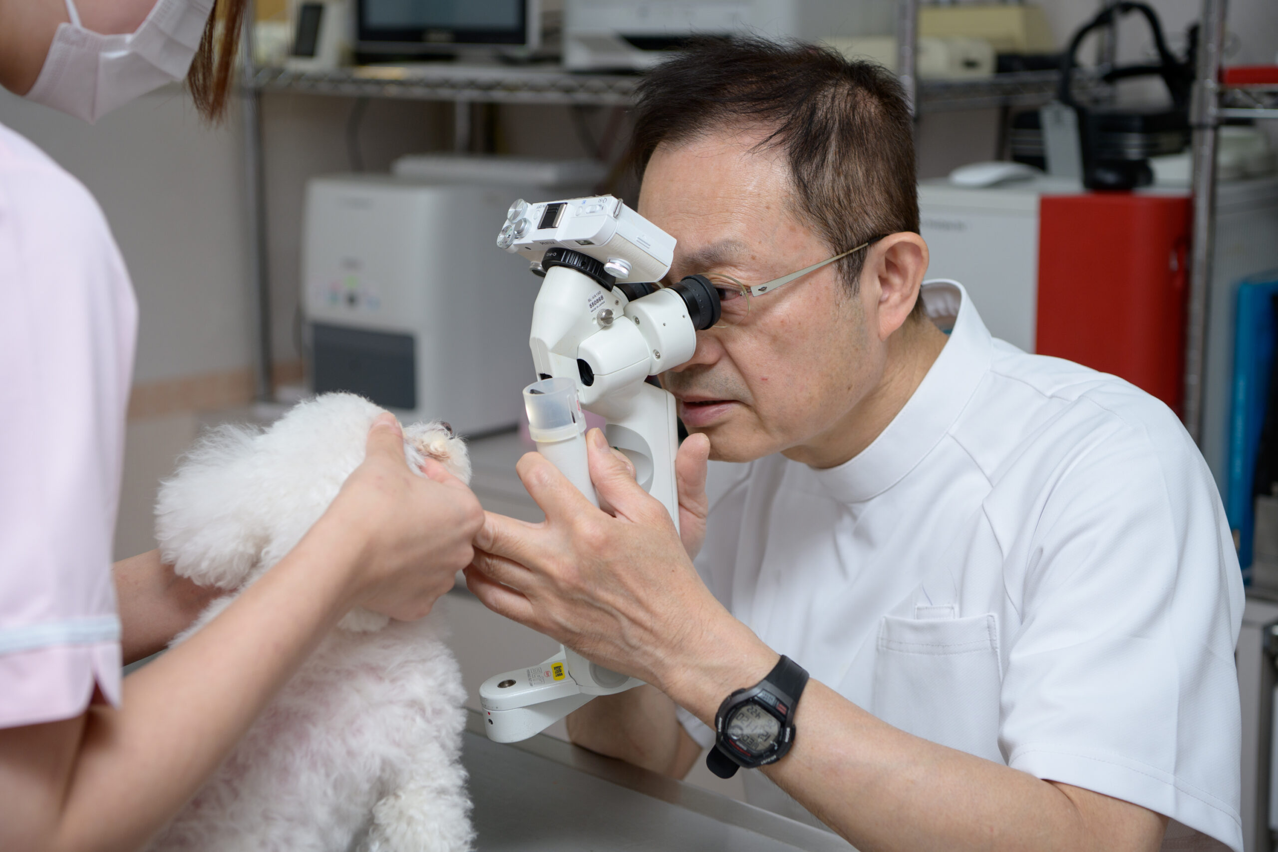 アーバン動物病院photo