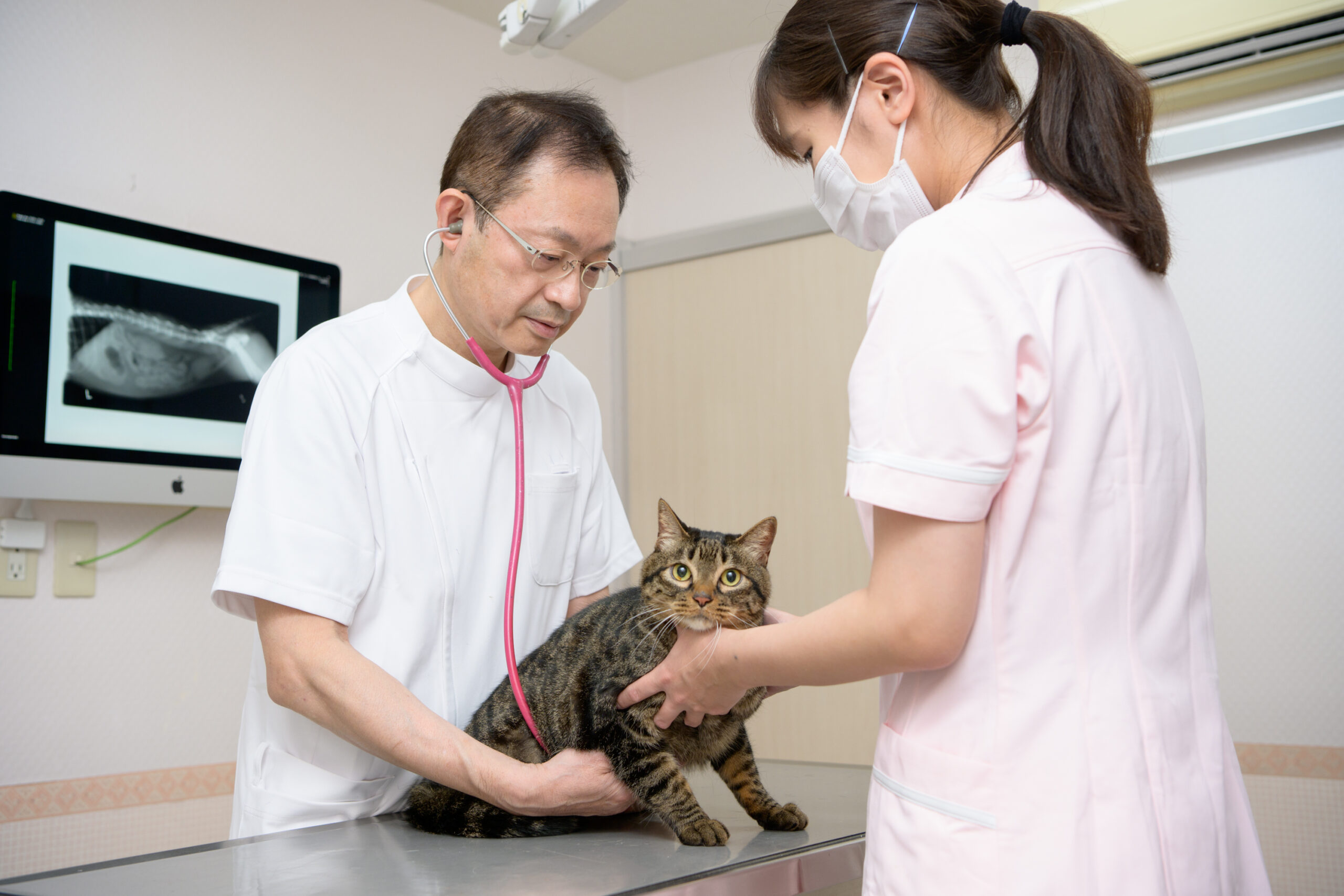 アーバン動物病院photo