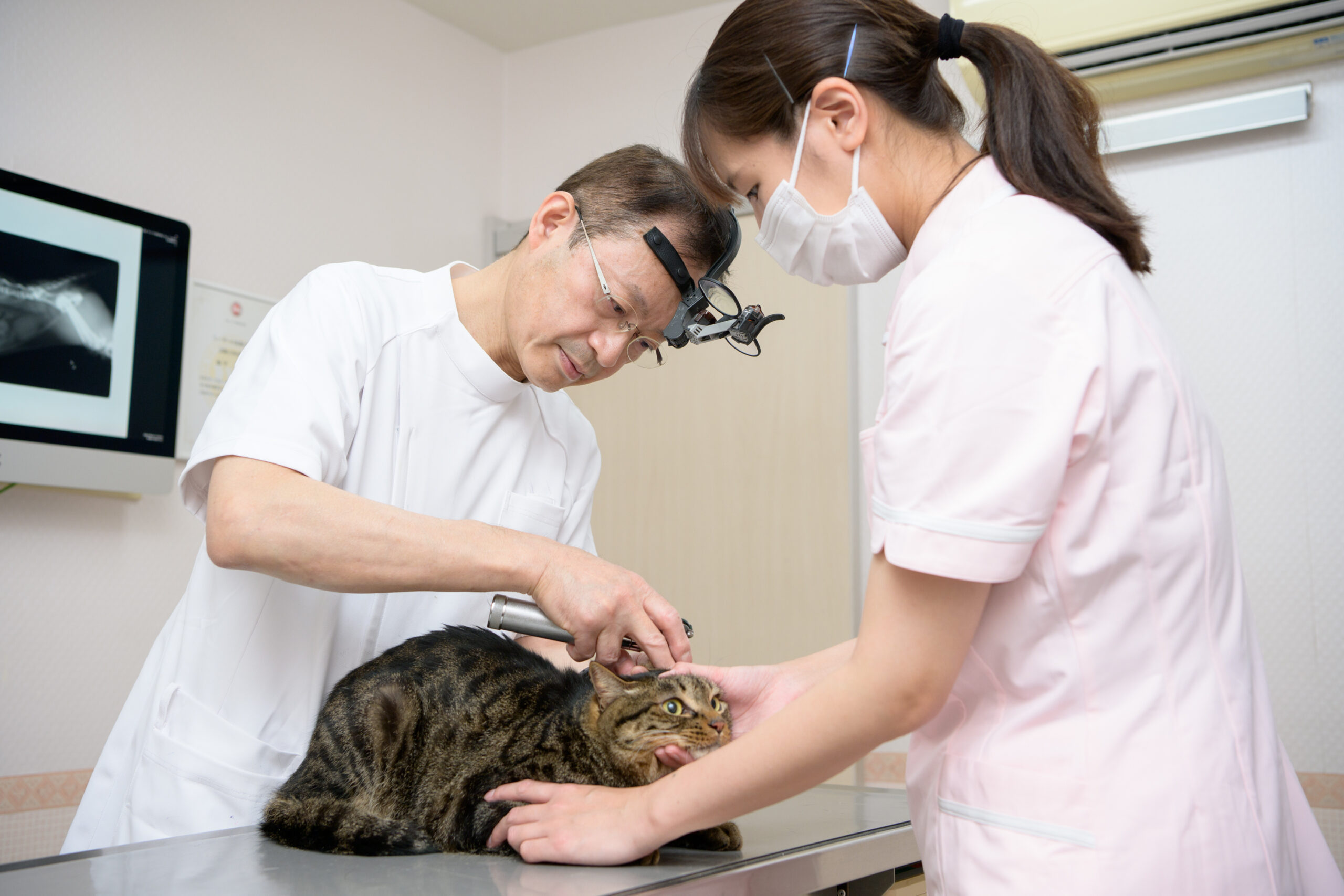 アーバン動物病院photo