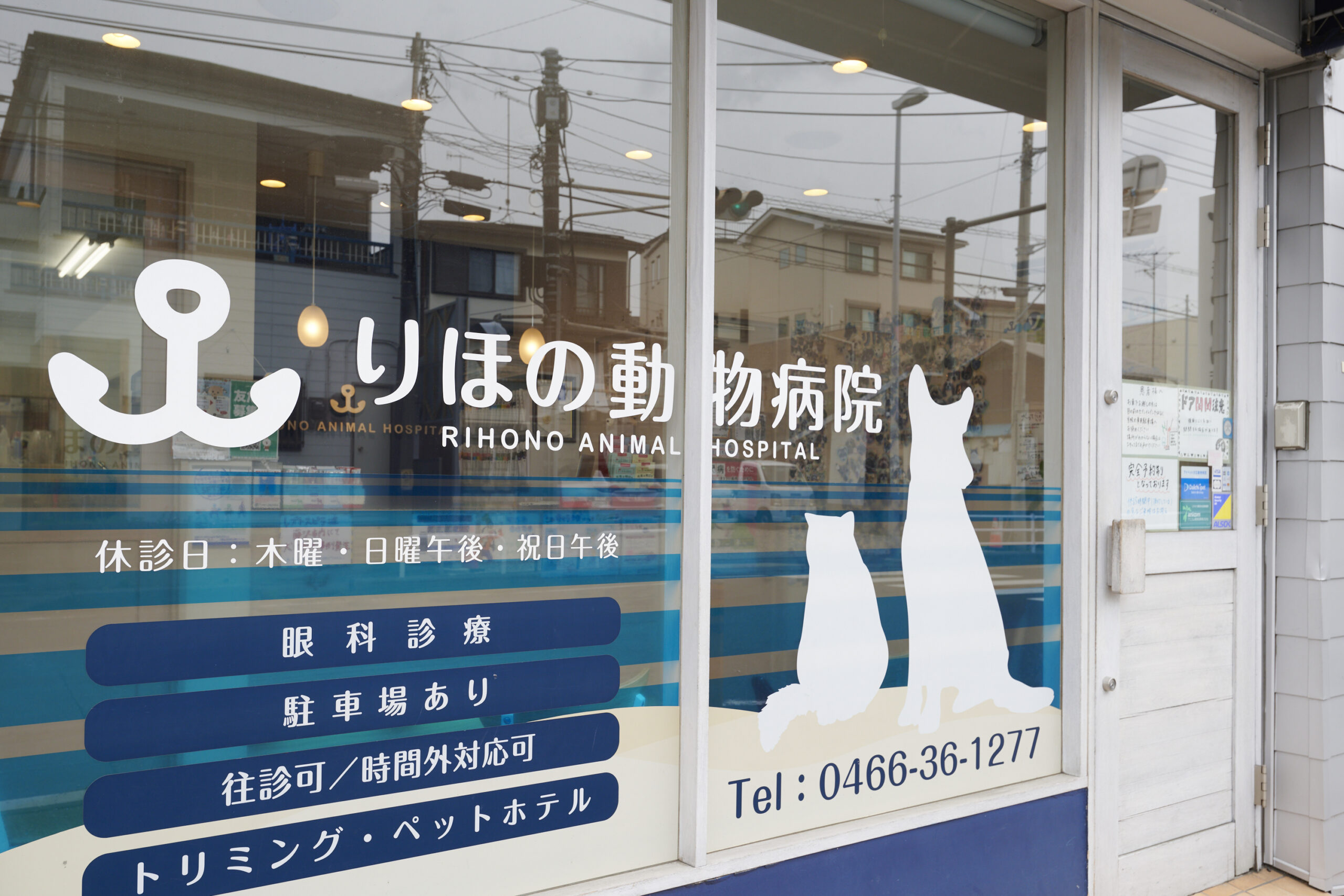 りほの動物病院photo