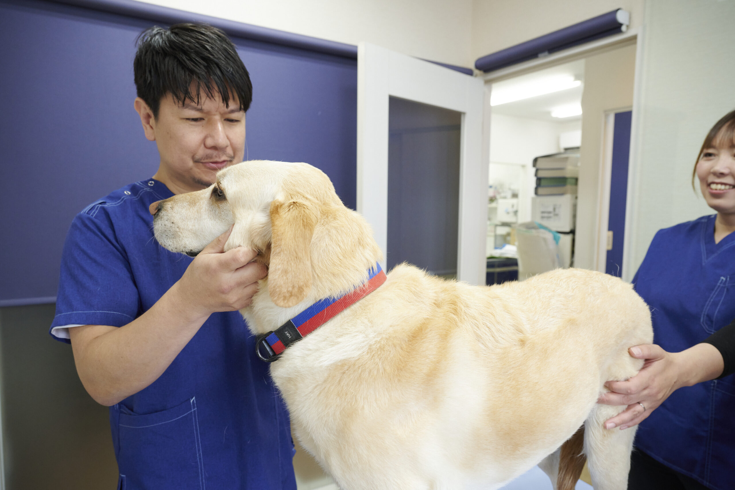 りほの動物病院photo