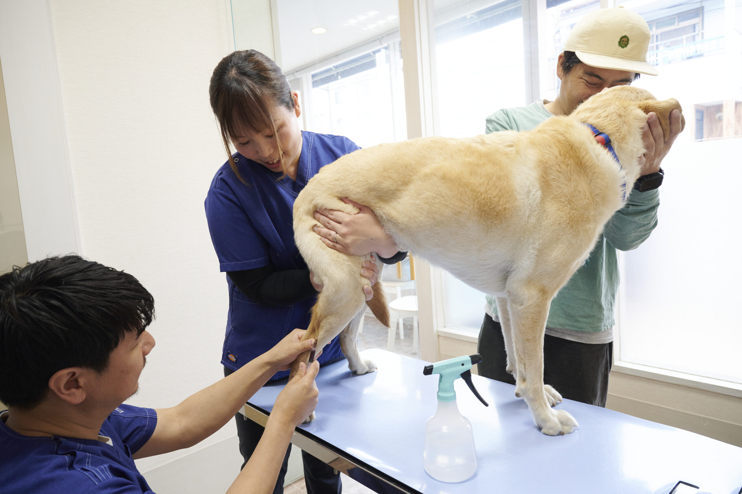 りほの動物病院photo