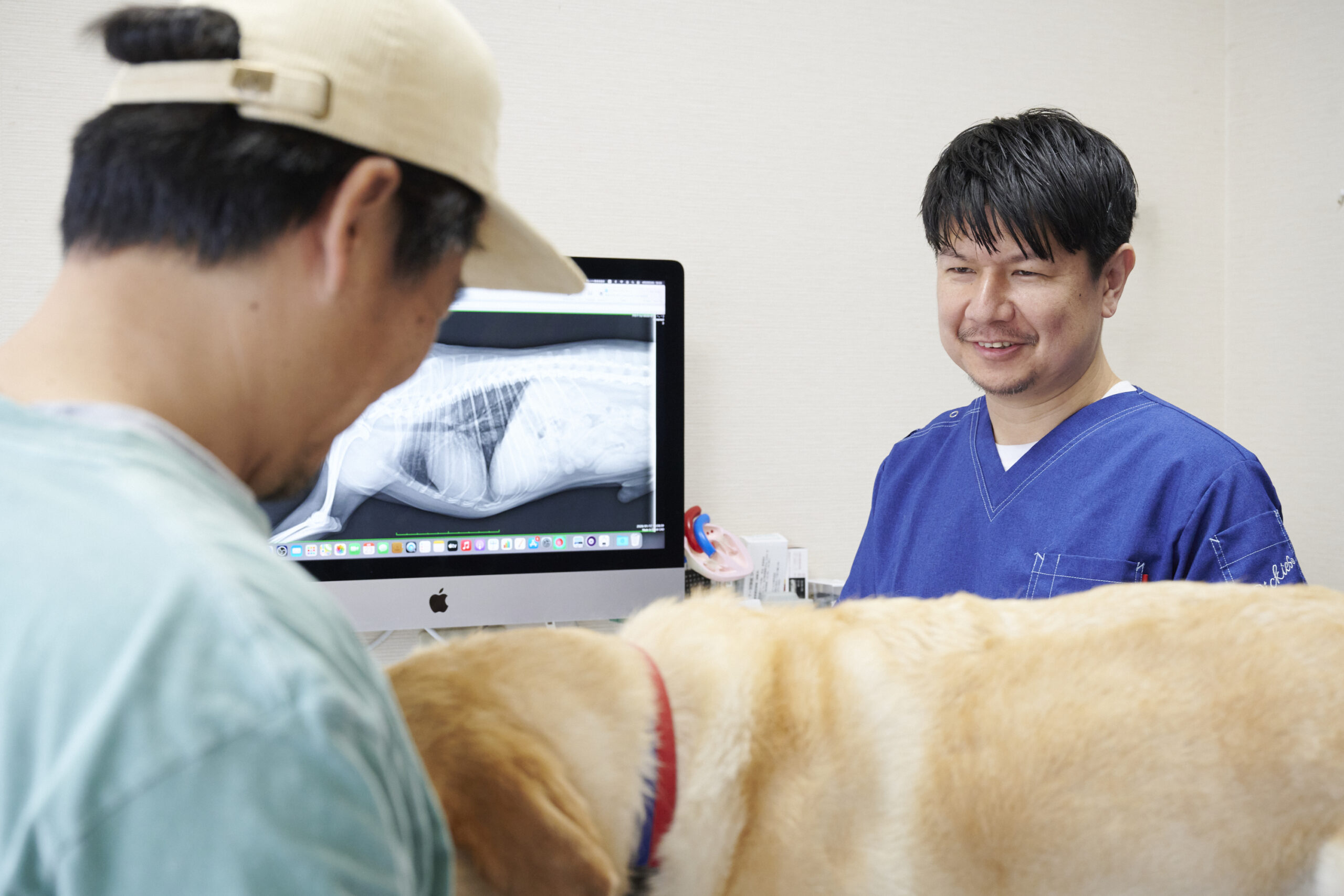 りほの動物病院photo