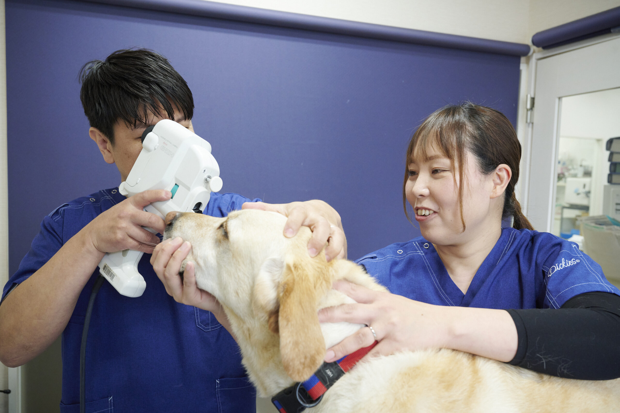 りほの動物病院photo