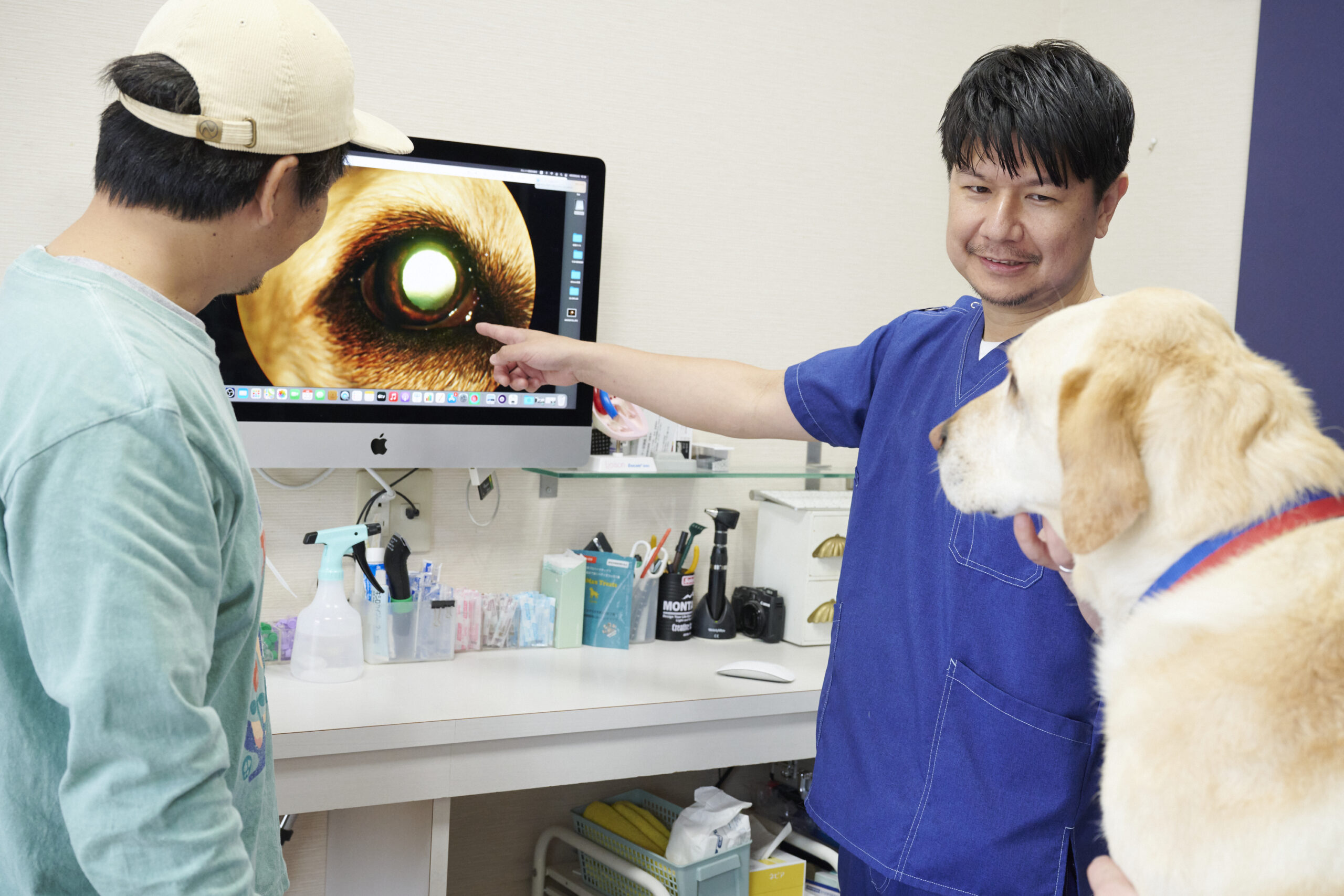 りほの動物病院photo