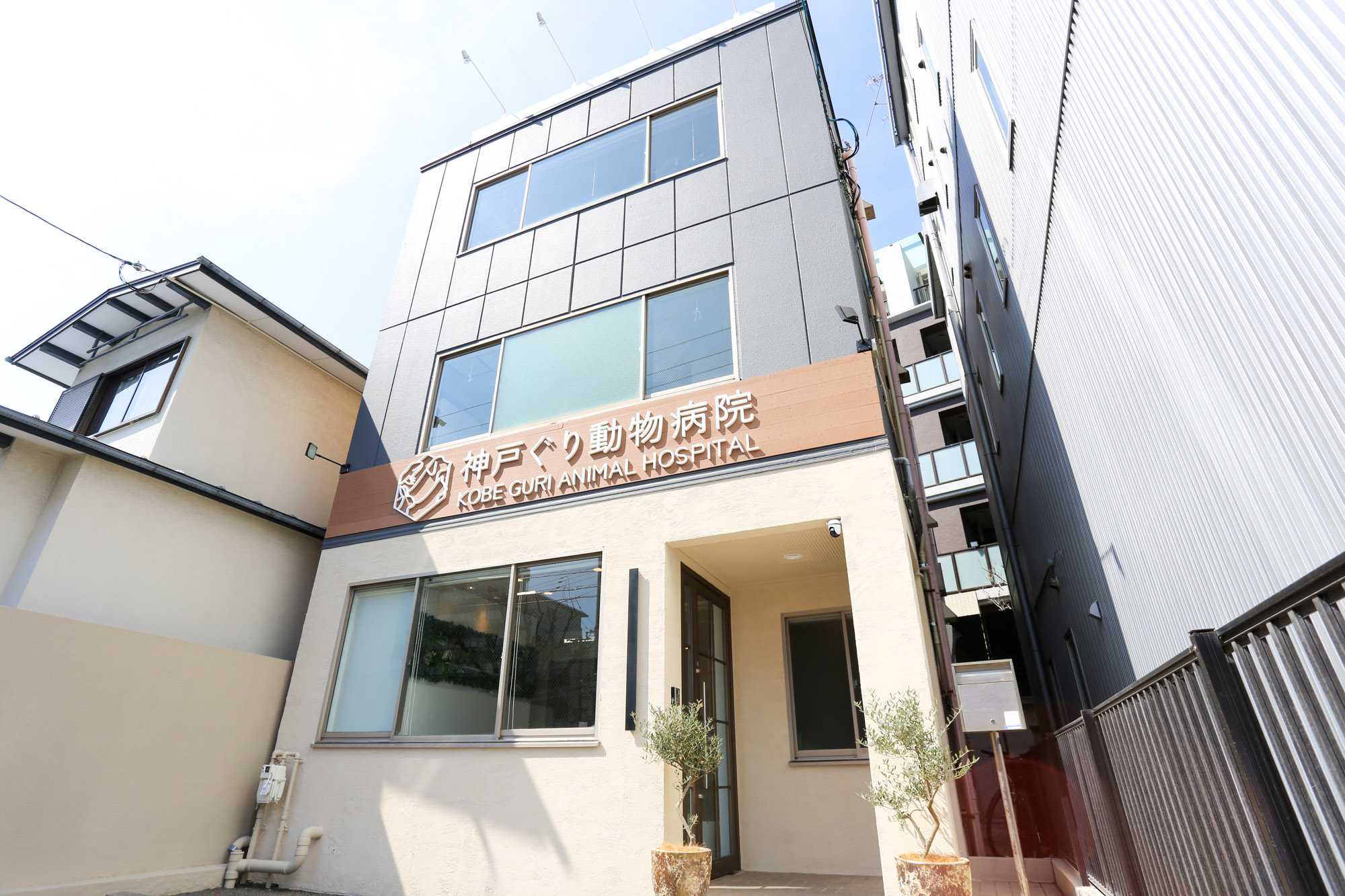 神戸ぐり動物病院