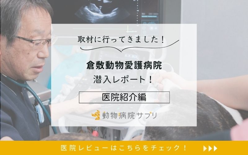 倉敷動物愛護病院