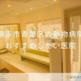 【2026年】横浜市青葉区の動物病院 おすすめしたい５医院