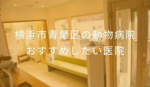 【2026年】横浜市青葉区の動物病院 おすすめしたい５医院