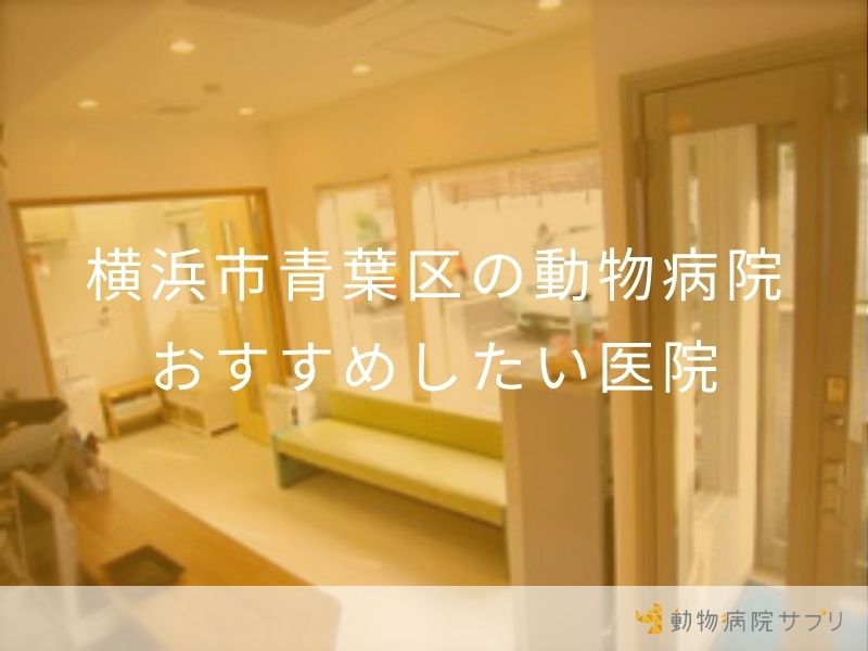横浜市青葉区の動物病院おすすめしたい医院