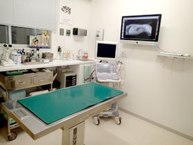 ベルジェ動物病院