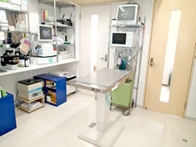 ベルジェ動物病院