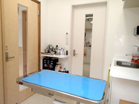 ベルジェ動物病院