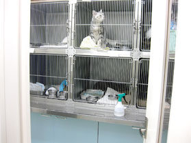 ベルジェ動物病院