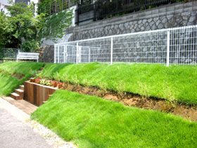 ベルジェ動物病院